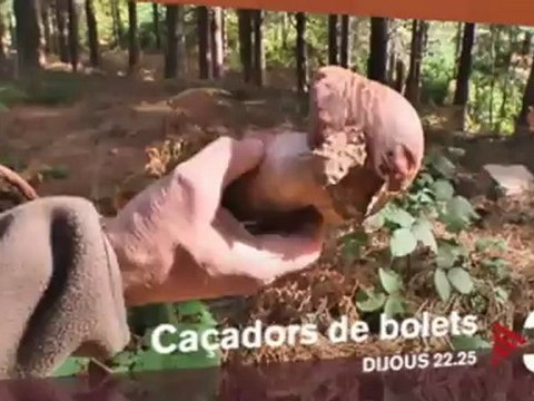 TV3 - Dijous, a les 22.25 a TV3 - Caçadors de bolets
