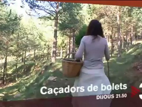 TV3 - Dijous, a les 21.50 a TV3 - Caçadors de bolets