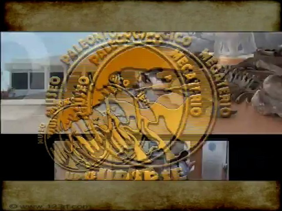 Museo Megaterio1