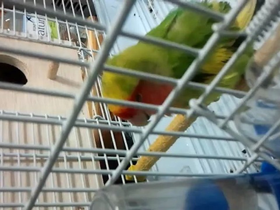 video-2012-11-19-17-31-31