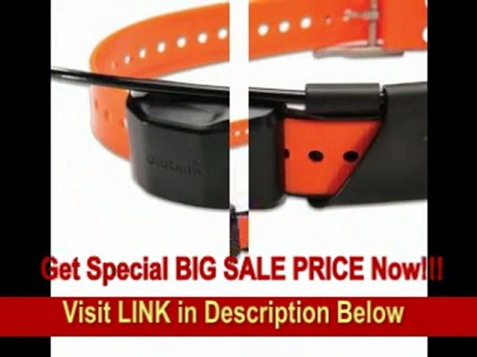 [BEST BUY] Garmin Alpha GPS Track and Train System