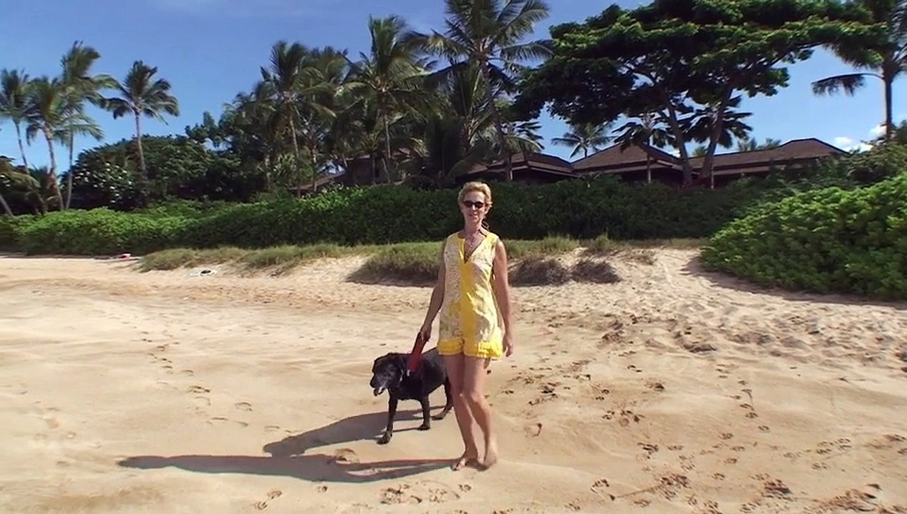 Beach Walk 773 - The Currency of Happiness