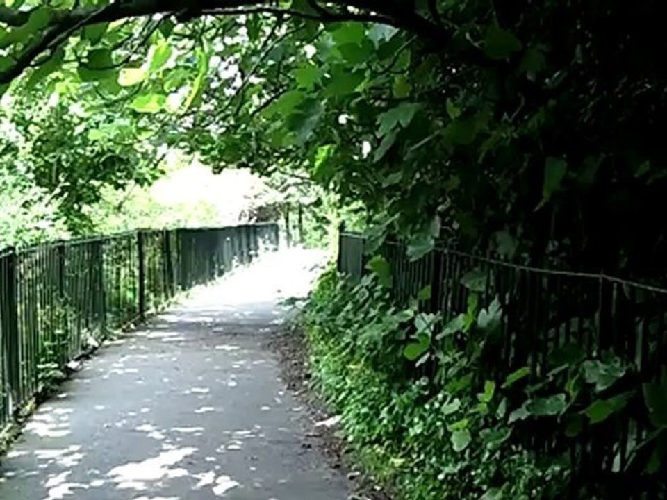 Greenwich Park - Olympic Landscapes
