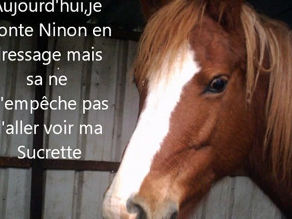 Mon film