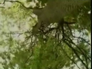 Müziksiz ilahiler 7 - Yunus diye