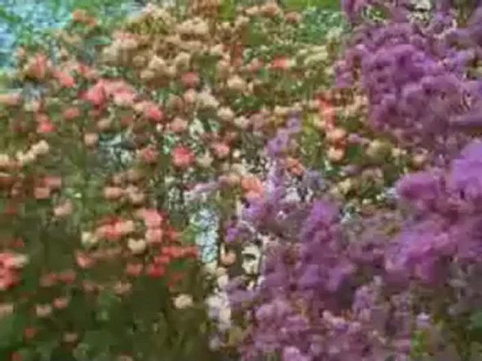 Müziksiz ilahiler 5 - Sizde bir türlü bizde bir türlü