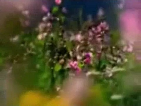 Müziksiz ilahiler 105 - Seher vakti bülbüller