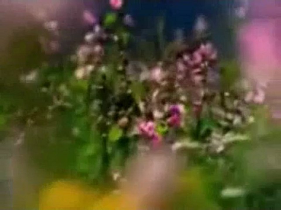 Müziksiz ilahiler 105 - Seher vakti bülbüller