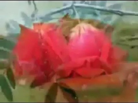 Müziksiz ilahiler 116 - Ötme bülbül