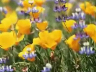 Müziksiz ilahiler 44 - Denmedi mi