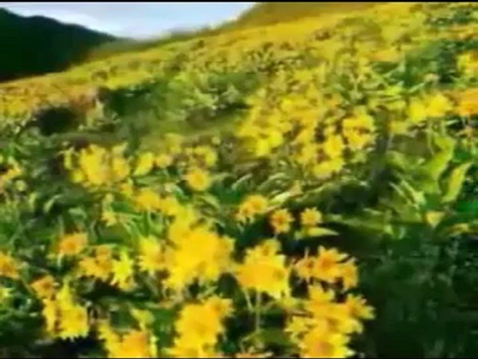 Müziksiz ilahiler 121 - Ağlayu Ağlayu_2