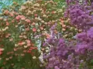 Müziksiz ilahiler 47 - Hu demek ister