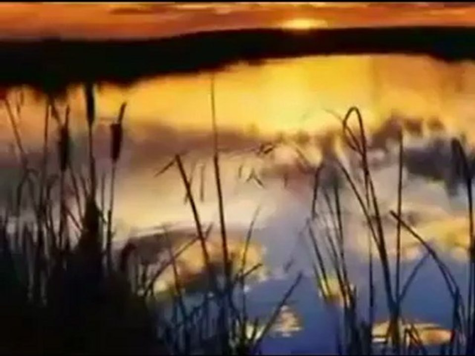 Müziksiz ilahiler 149 - Sordum sari çicege