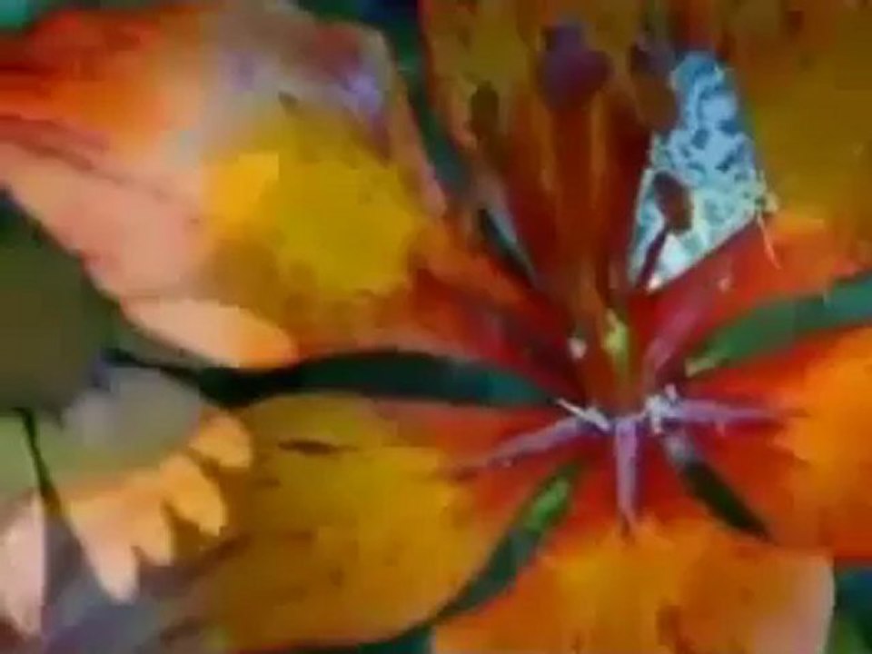 Müziksiz ilahiler 93 - Gonuller yapmaga geldim