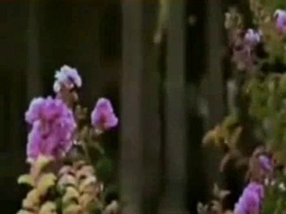 Müziksiz ilahiler 79 - Canimin canani