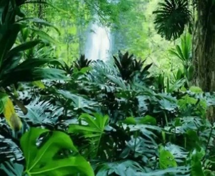 Müziksiz ilahiler 133 - ALLAH sevgisi