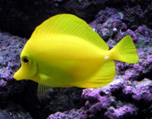 블랙잭룰 ♥_V­I­P­5­1­2­.­N­E­T_♥ 라이브카지노사이트 ▤┗ 바카라추천 태티서