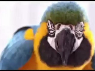 Sửa Bình Nóng Lạnh Tại Dịch Vọng 0986687668