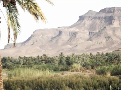 Drâa Valley Morocco - Exploring the Draa Valley in Morocco North to South - Tribu Voyage la Vallée de Draa Maroc