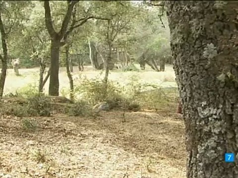 MARTIN MARIA FERNANDO ESE DIA ES MI ORDENANCION ESDPV 16-11-2012