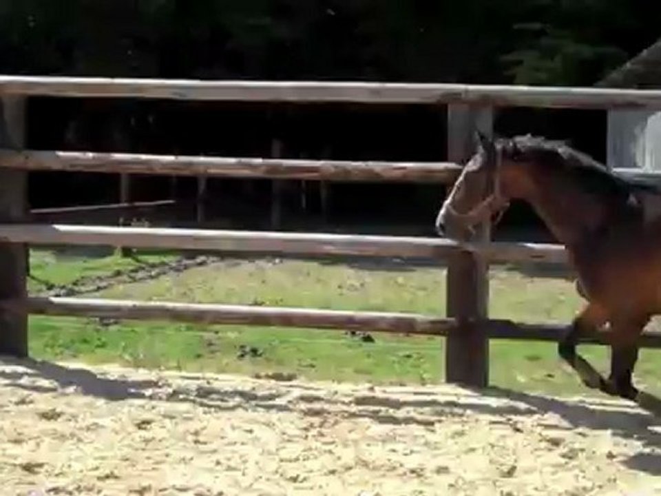 Première rencontre avec le nouveau  !