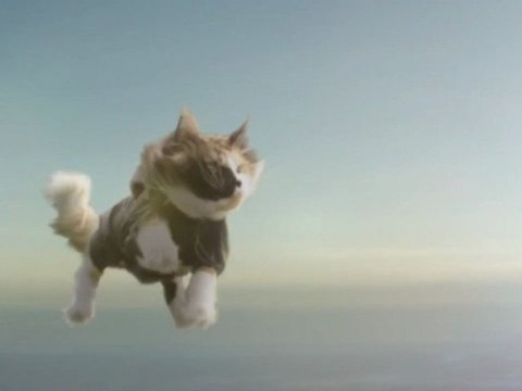 Pub Folksam - Chats en parachute