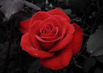 신천지카지노 ♥_O­K­5­5­9­9­.­K­R_♥  바카라 ┏◐╉ ▲↘┣▣ 충예전가