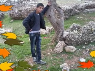 silopi dıleş can 090 R