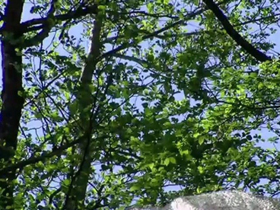 Cascade de la Ribeyrette