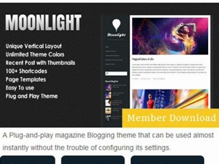 Premium Wordpress Themes