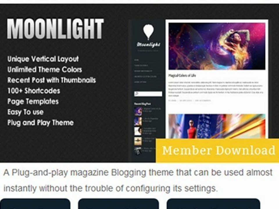 Premium Wordpress Themes