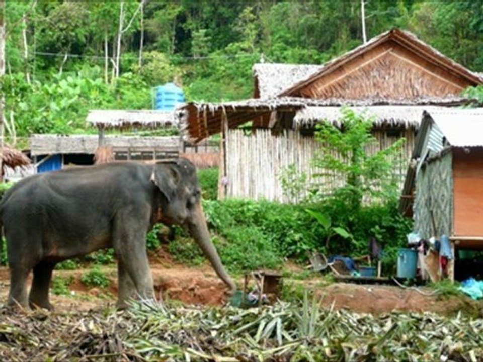 Phuket Rawai