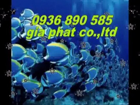 Thợ sửa nhà rẻ uy tín tại quận 10 hcm call 0907 323 053