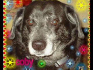 marks mowers comerical