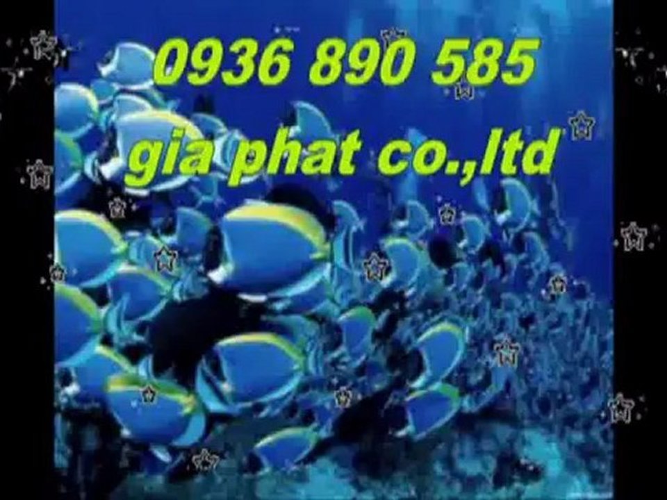 Thợ sửa nhà rẻ uy tín tại quận 11 hcm call 0936 890 585