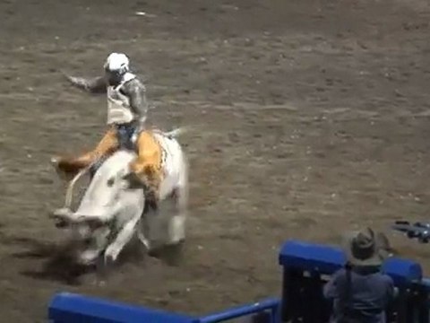 Far West... Rodéos et grands parcs américains