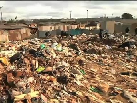 El medi ambient: quatre nous temes al mosaic dels divendres