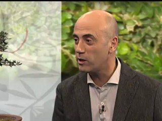 Espai Terra - dilluns 12 de novembre