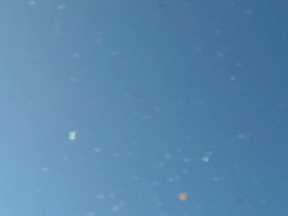 SDV_0046
