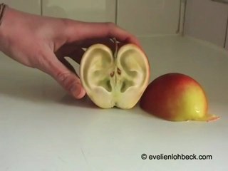 Genetically Modified Apple