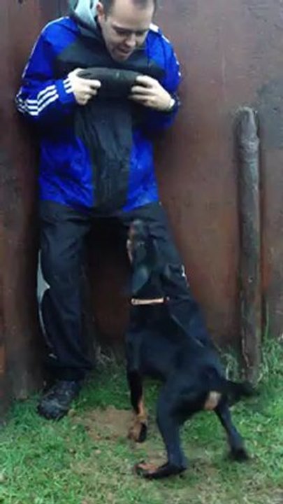 Hertog du Bois de Liers - 10 semaines