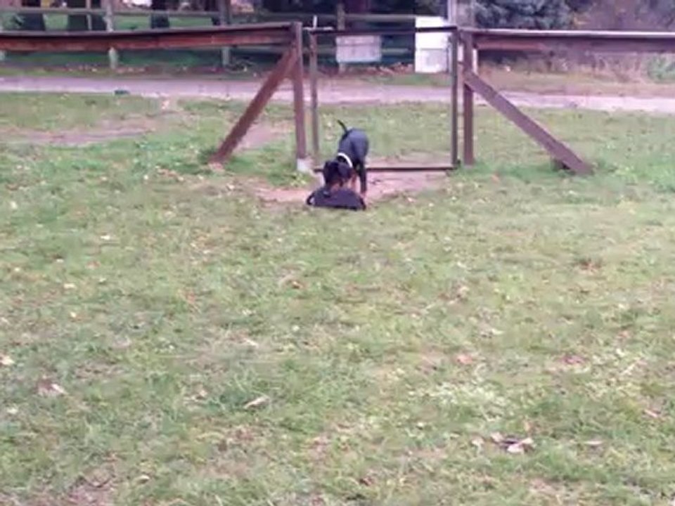 HK du Bois de Liers - 10 semaines