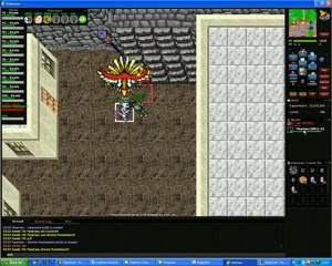 Mewtwo vs Ho-oh Pokémon Türkiye