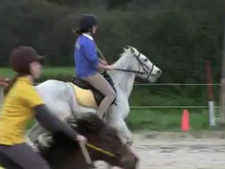 Concours Mangalix 11 Nov. 2012