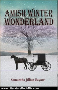 Literature Book Review: Amish Winter Wonderland: BOOK TWO (Jacob's Daughter (An Amish, Christian Romance)) by Samantha Jillian Bayarr