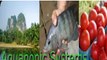 Aquaponics Made Easy - If You Get This Guide - Check This Video Now! - YouTube