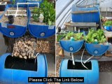 Looking For Detail Guide To Start Your Aquaponic Project- Check This Now - YouTube