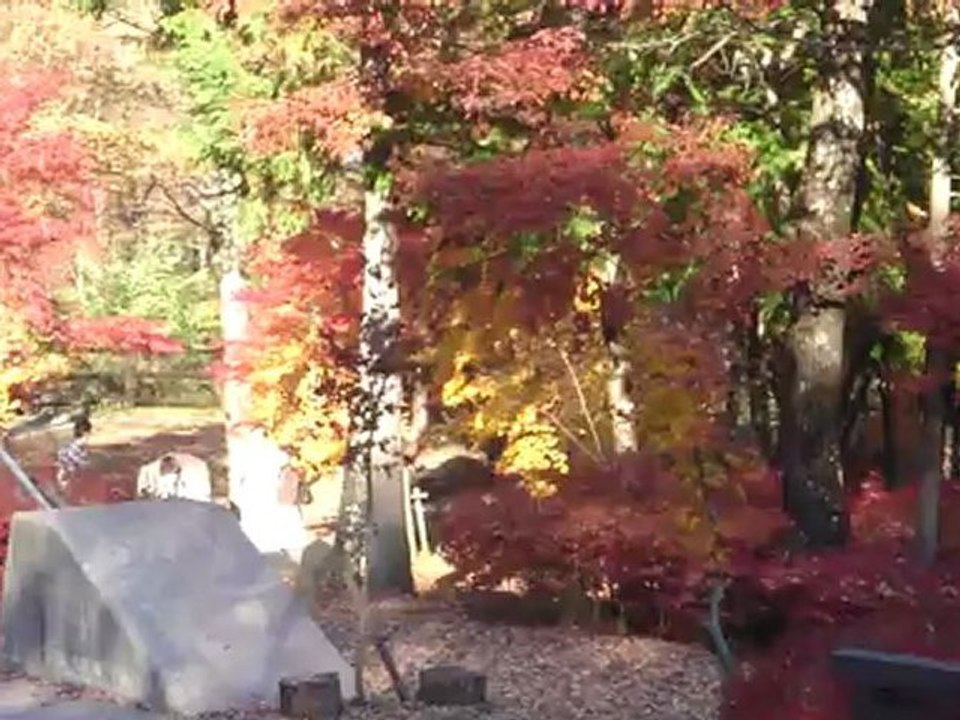 Japão Outono 2010