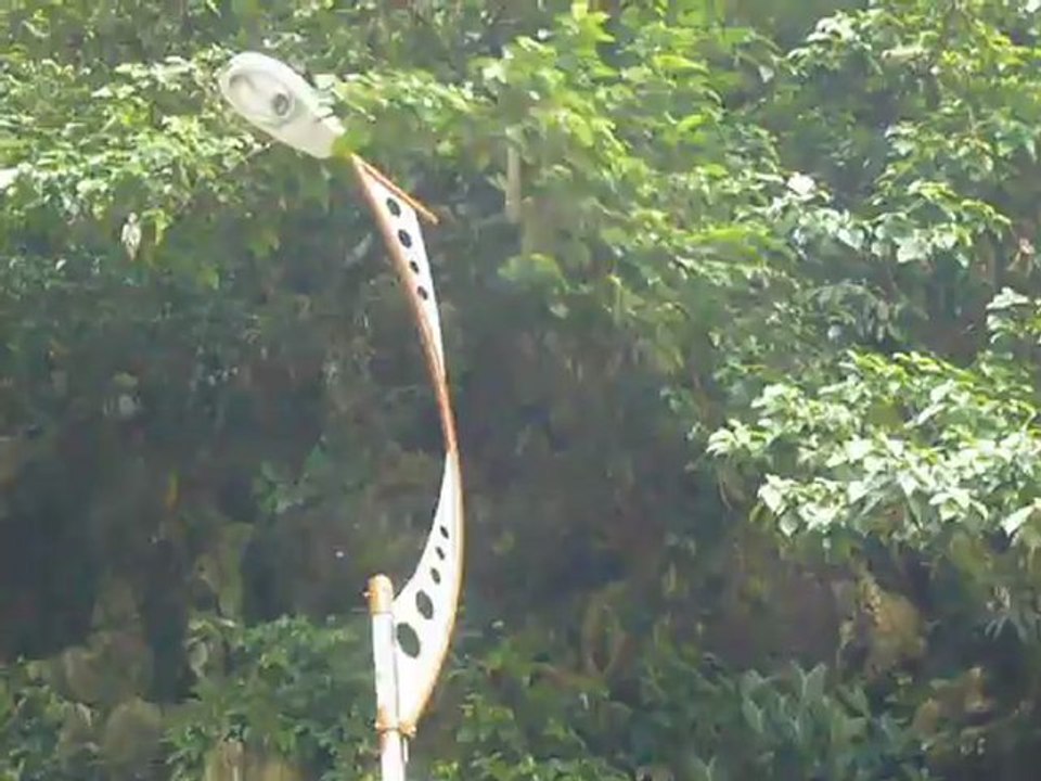 Les singes de Batu Caves