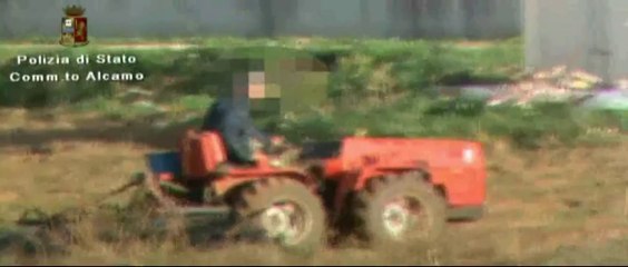 Alcamo - (TP) - Truffe, 'cieco' alla guida del trattore denunciato (17.11.12)